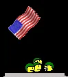 Ford Bronco To all the Marines former and current flag rais