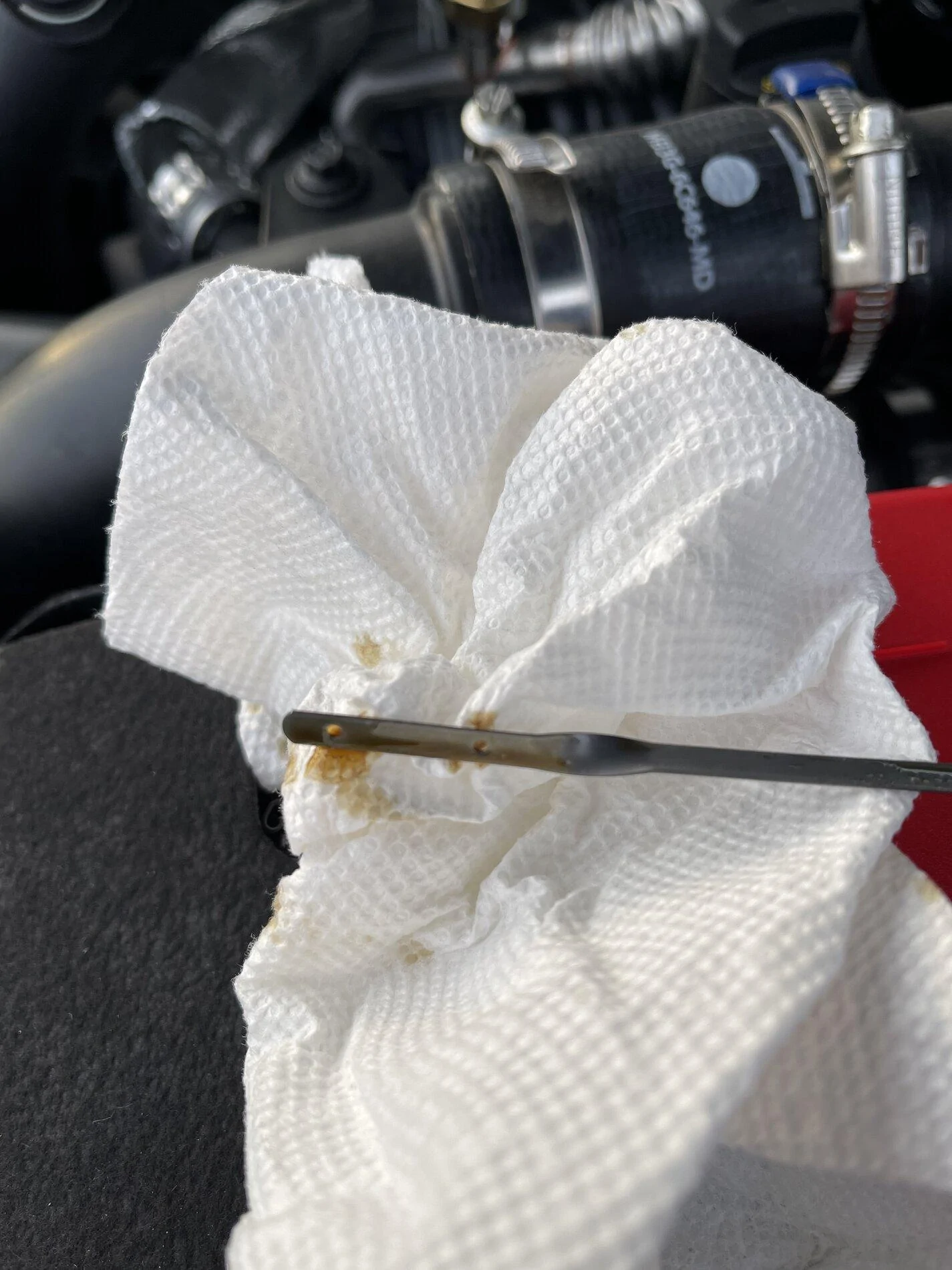 Ford Bronco Dipstick Pic? DE43F2A5-61CC-4E44-A507-65B586C1FF0A