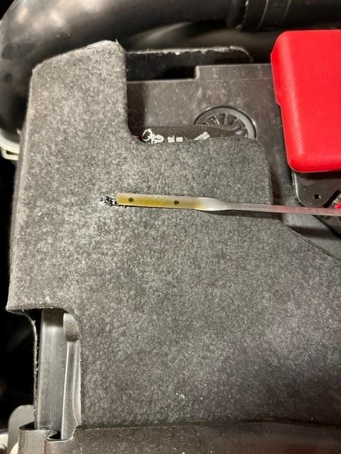 Ford Bronco Dipstick Pic? fctp3