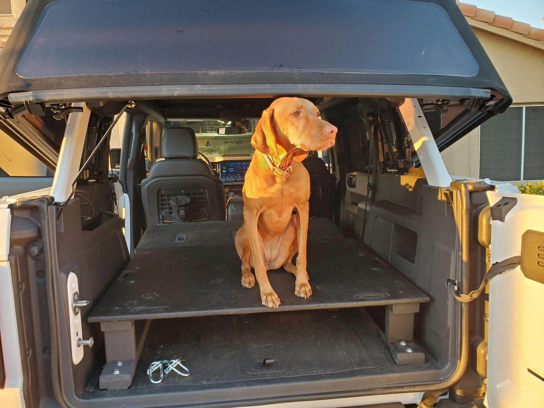 Ford Bronco Built a rear platform for cargo, dog and sleeping 20211114_071648