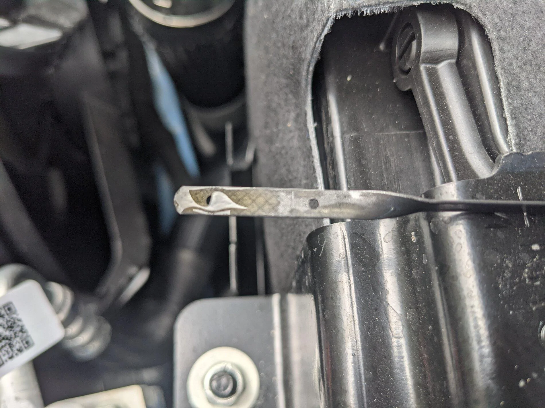 Ford Bronco Dipstick Pic? PXL_20211112_170619418
