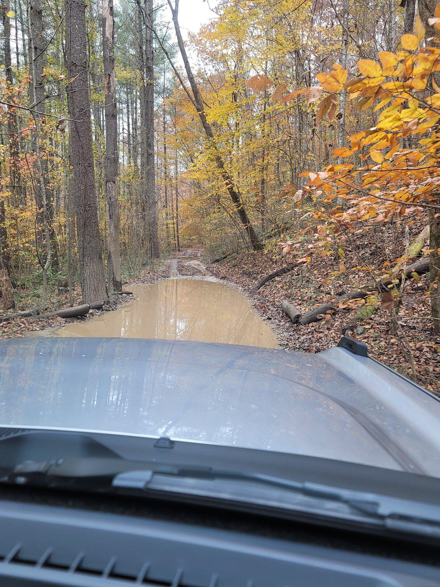 Ford Bronco Daniel Boone Backcountry Byway 20211113_134734