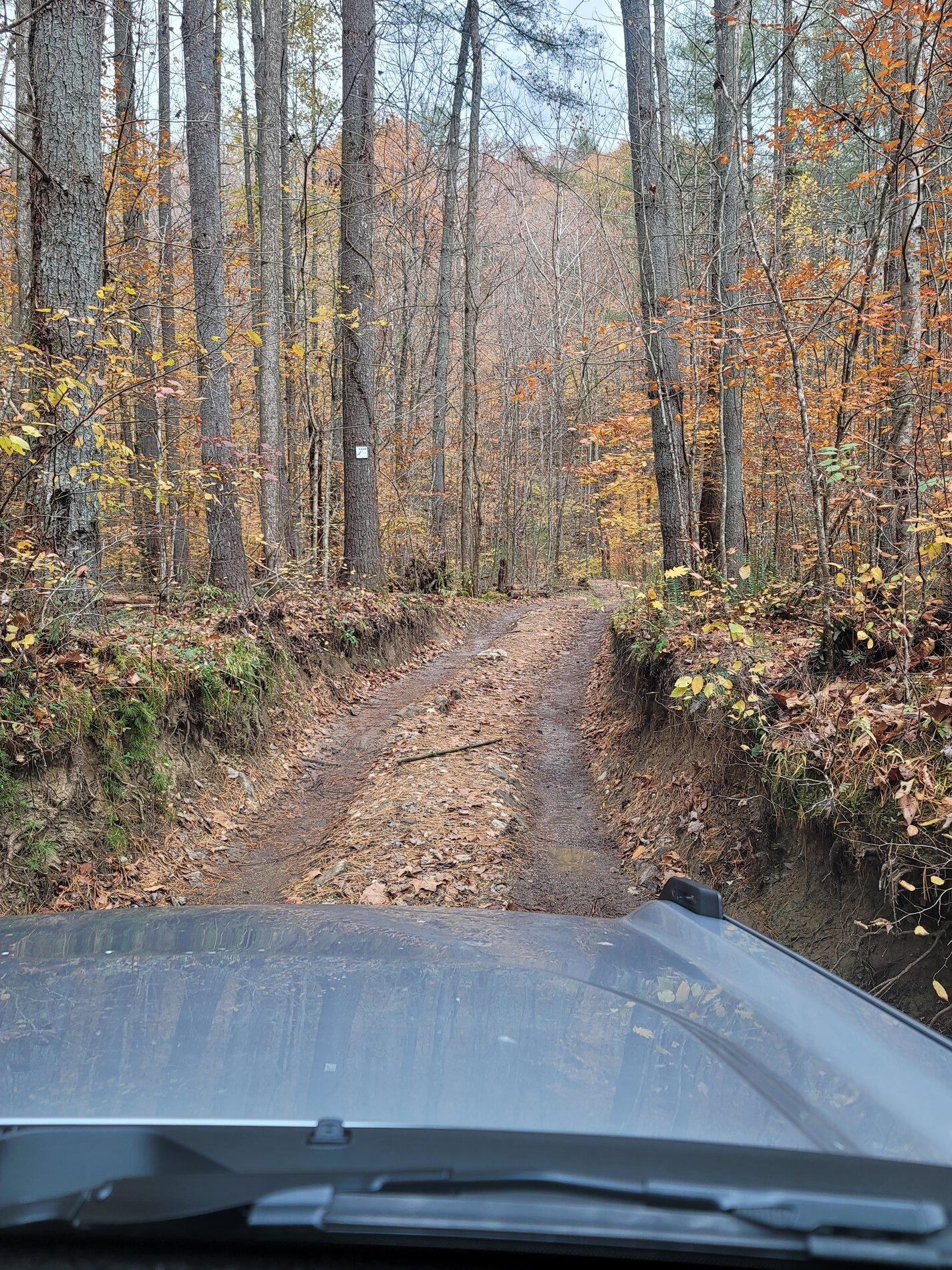 Ford Bronco Daniel Boone Backcountry Byway 20211113_134610