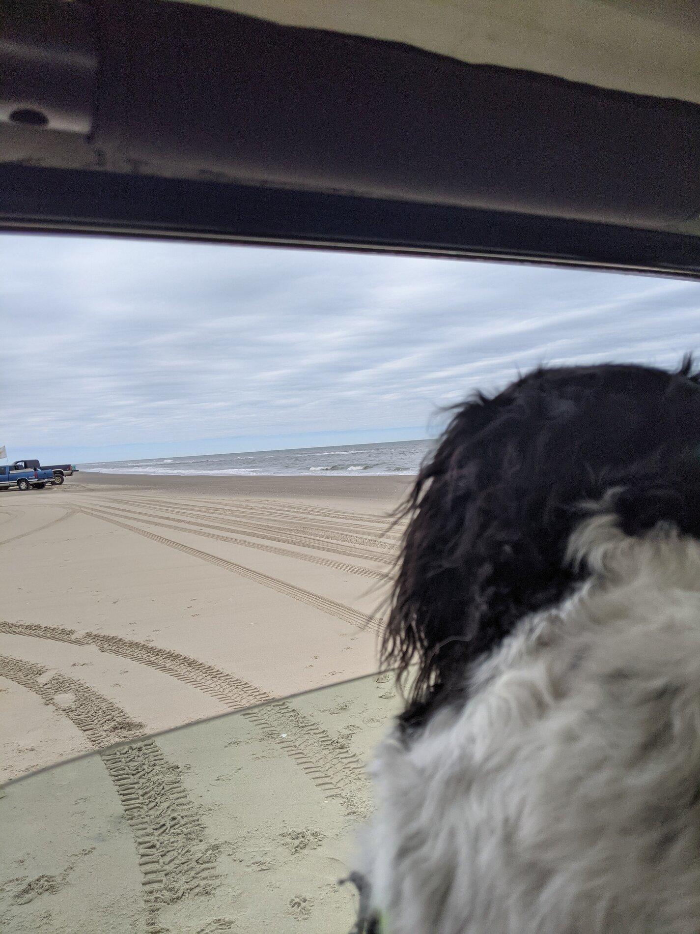 Ford Bronco Outer Banks Bronco Thread PXL_20210327_180052481