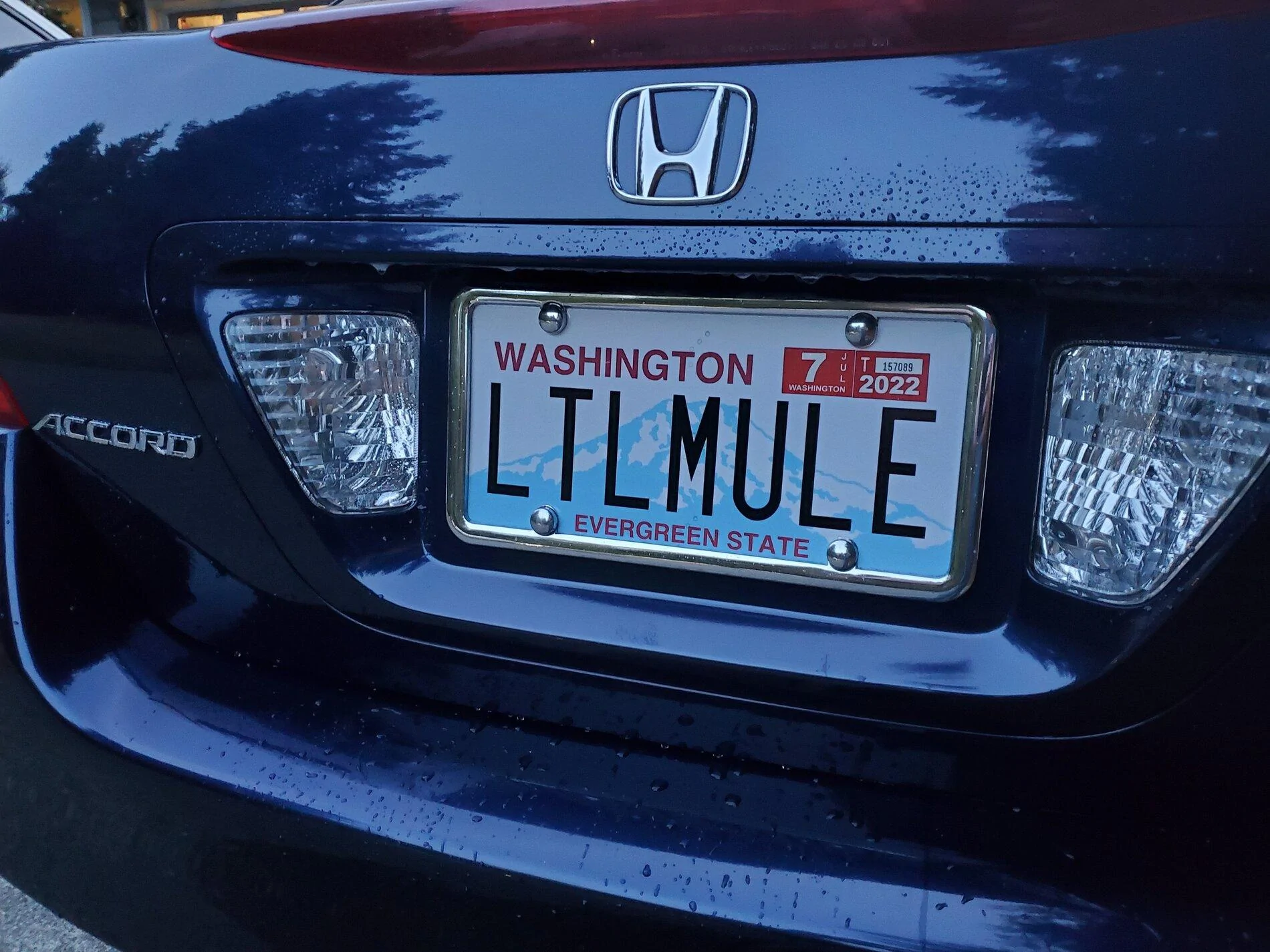 Ford Bronco Custom vanity license plate for Bronco? LTLMULE