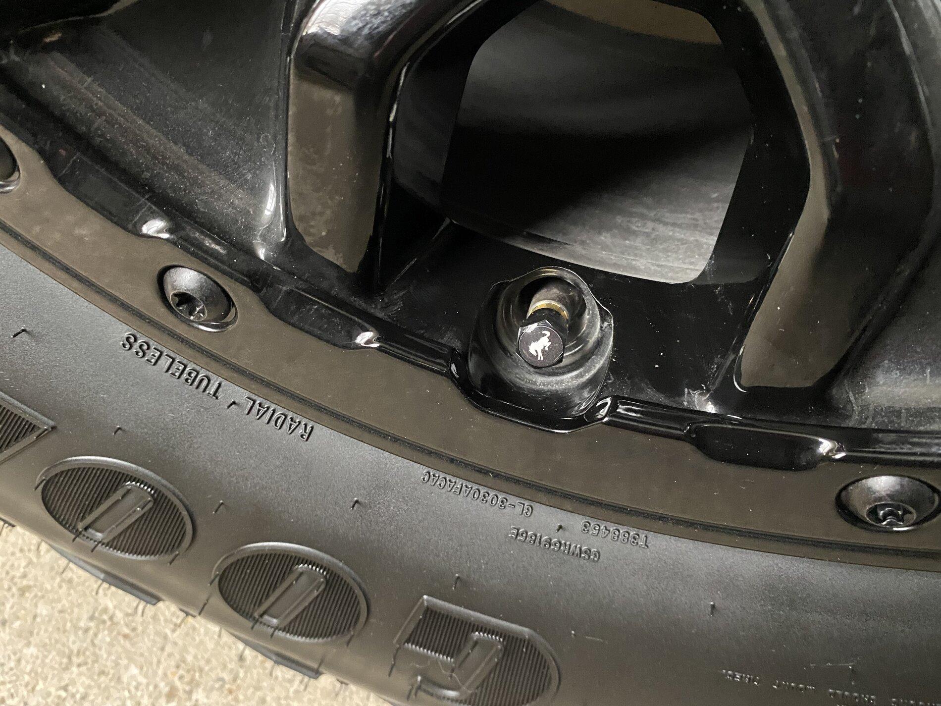 Ford Bronco BLACK ICE Build 1F19CAA7-0F86-40BF-A510-6EC8473AD7A3