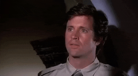 giphy (1).gif