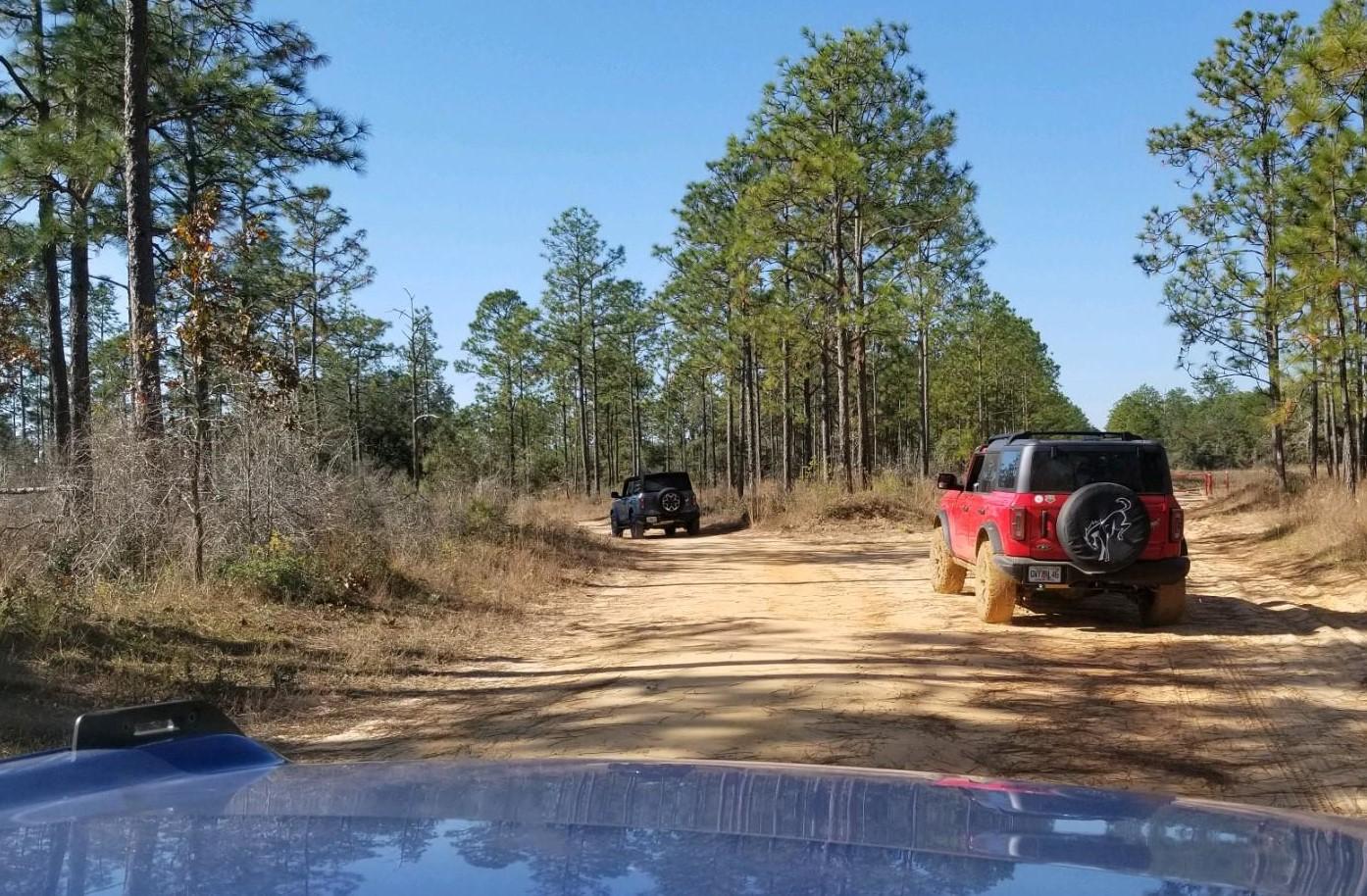 ON TRAIL _ MUDDY.jpg