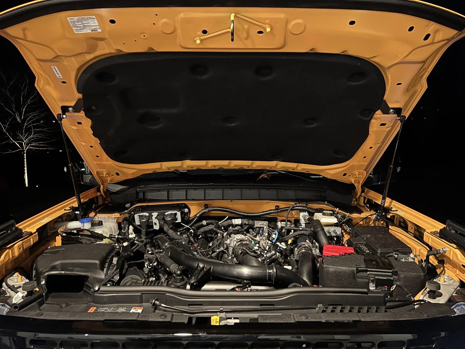 Ford Bronco Are you getting hood struts? Which ones? B28D7104-AFE5-4AC4-A2C4-F58D31C5EA69