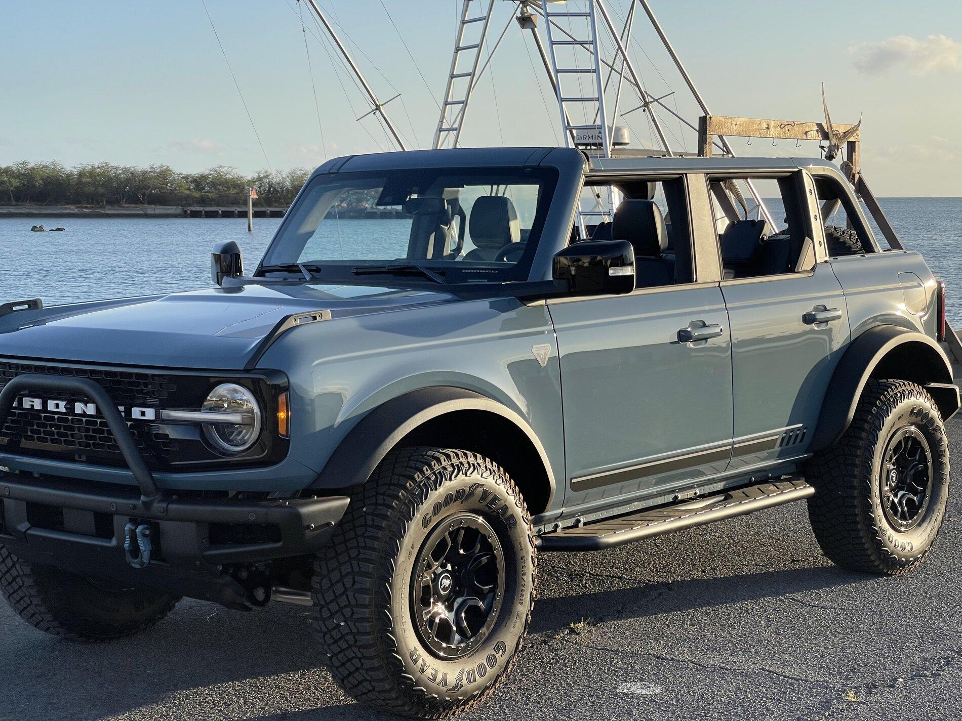 Ford Bronco First Edition Bronco Thread DFBEBEDC-5A4B-4E49-88F3-A07237D1061D