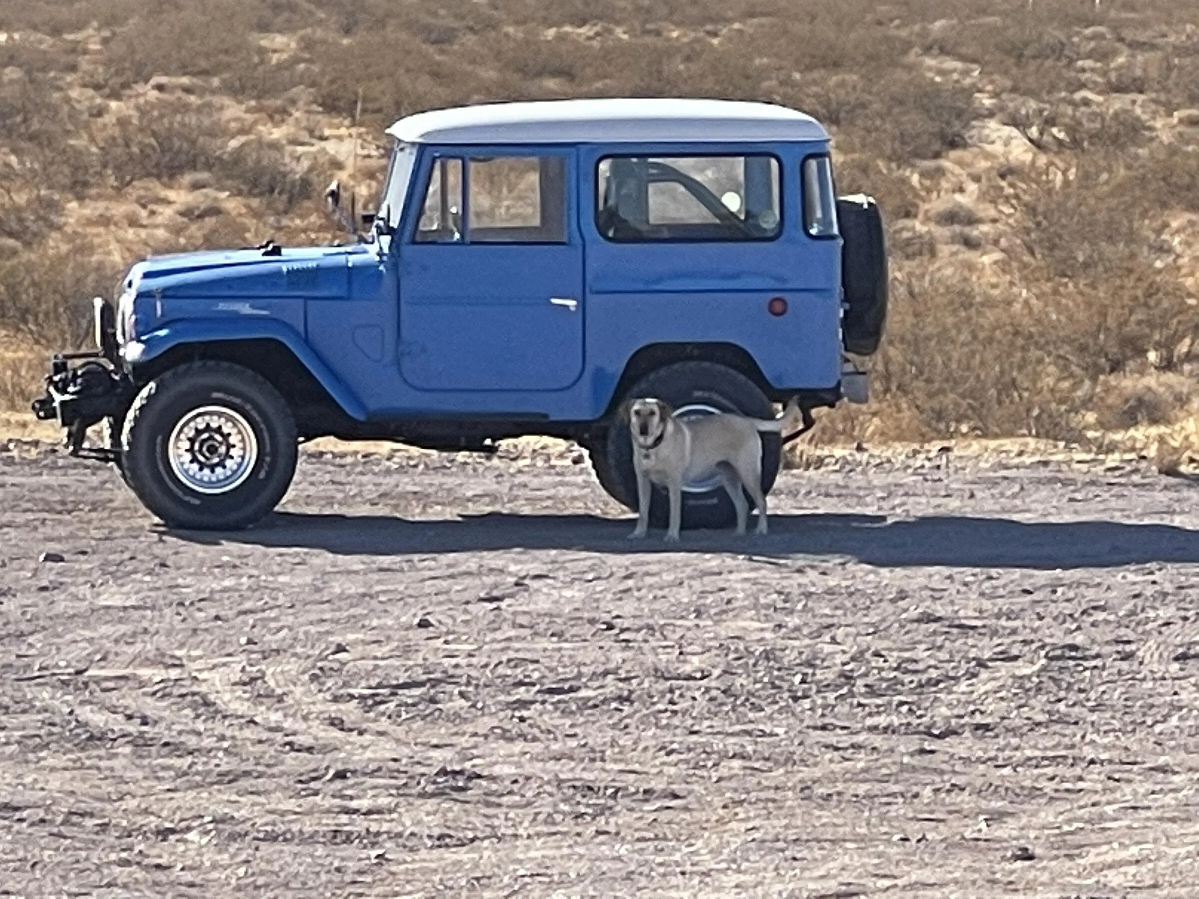 Ford Bronco Bring back the FJ IMG_3684