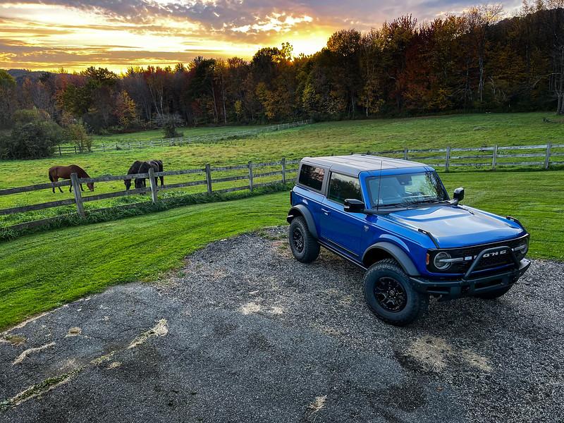 Ford Bronco Terminated's Bronco FE Build w/ Wrapped White Top & Mirrors i-RWpXcnt-L