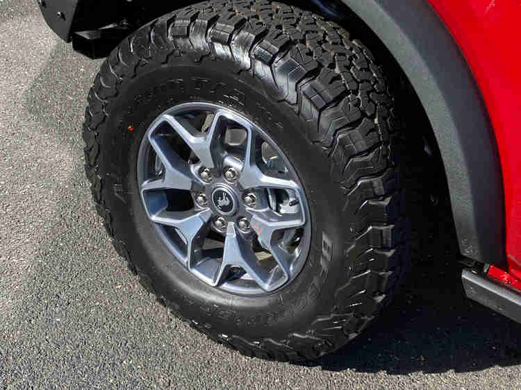 Ford Bronco Ashley the Gypsy file