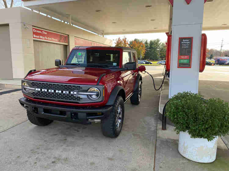 Ford Bronco Ashley the Gypsy file