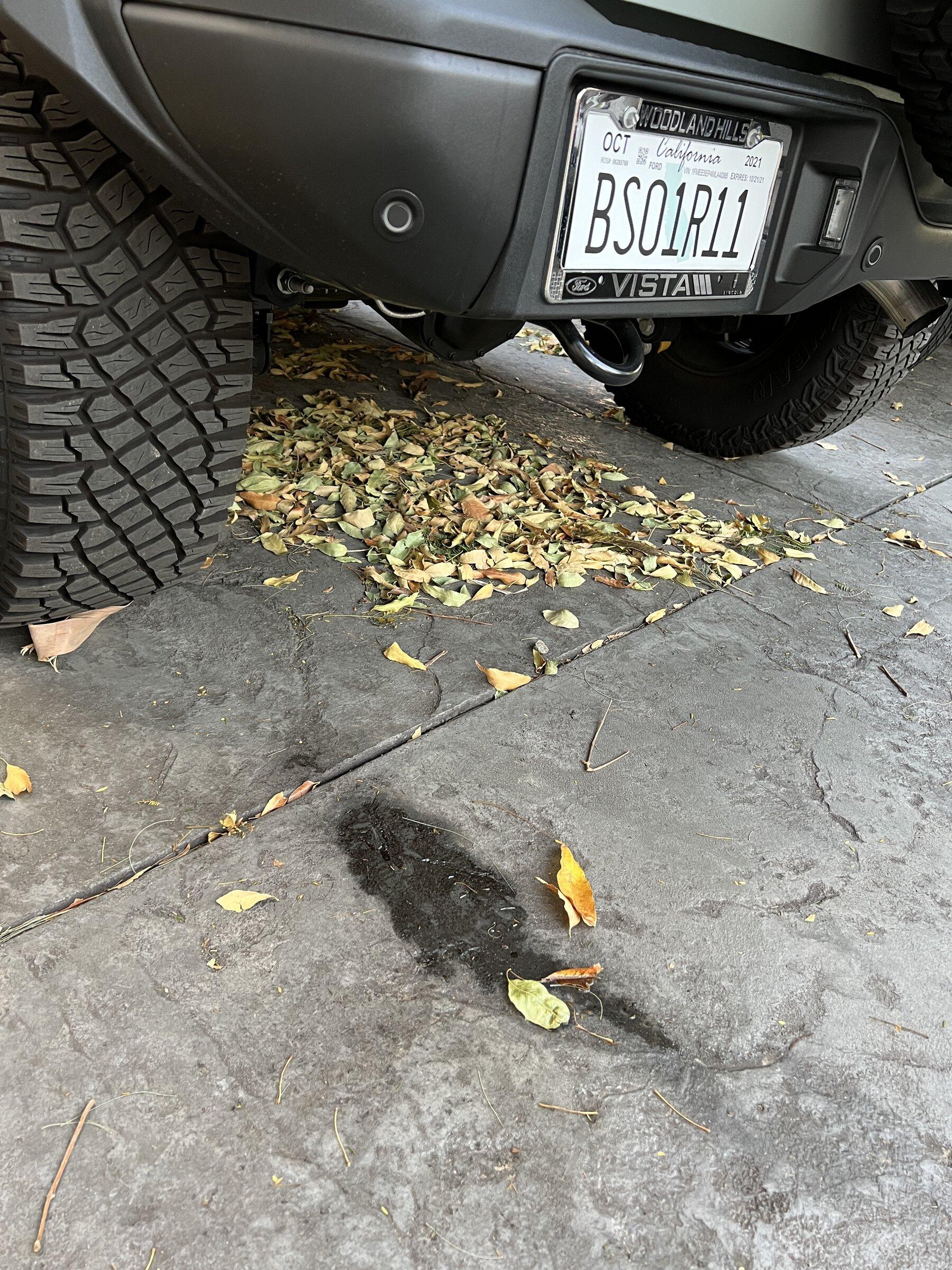 Ford Bronco Leaking gas while parked on incline? IMG_1239.JPG