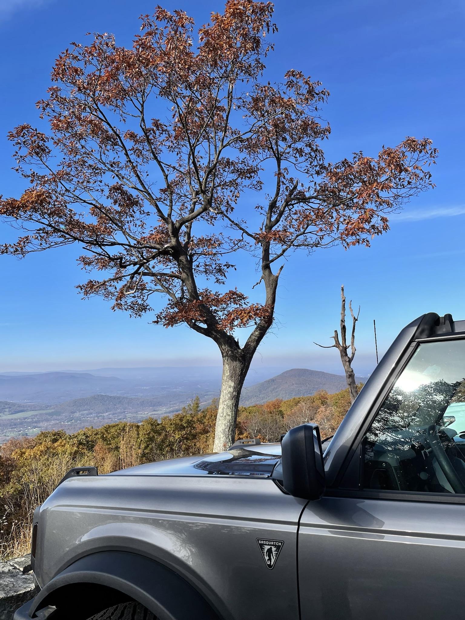 Ford Bronco Show me your BaseSquatch 0C63621C-4C26-489C-8FD8-09E12CDCABB9