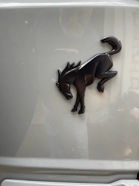 Ford Bronco Retro Badge install Bronco-Dip1