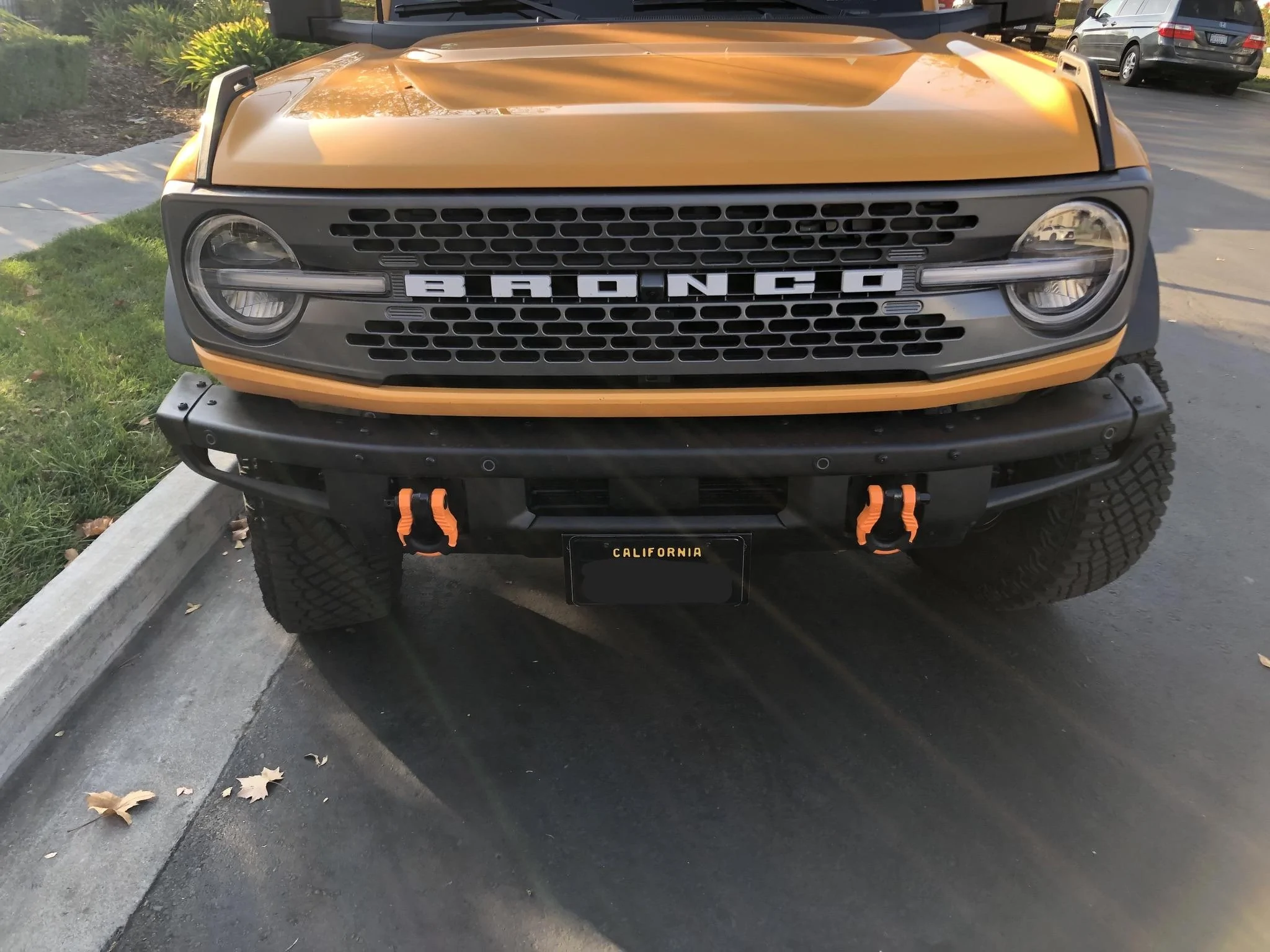 Ford Bronco Dealer drilled front grill- options? 3218E2AE-3499-4F5B-8063-688ADAC59648