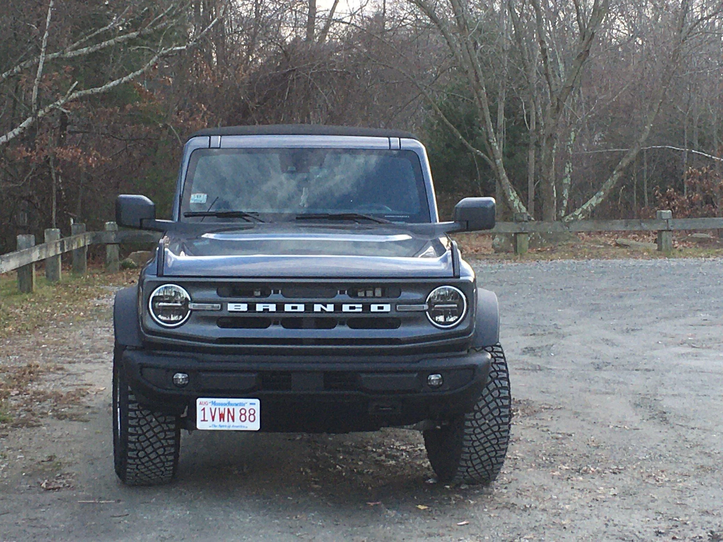 Ford Bronco Dealer drilled front grill- options? plate 2