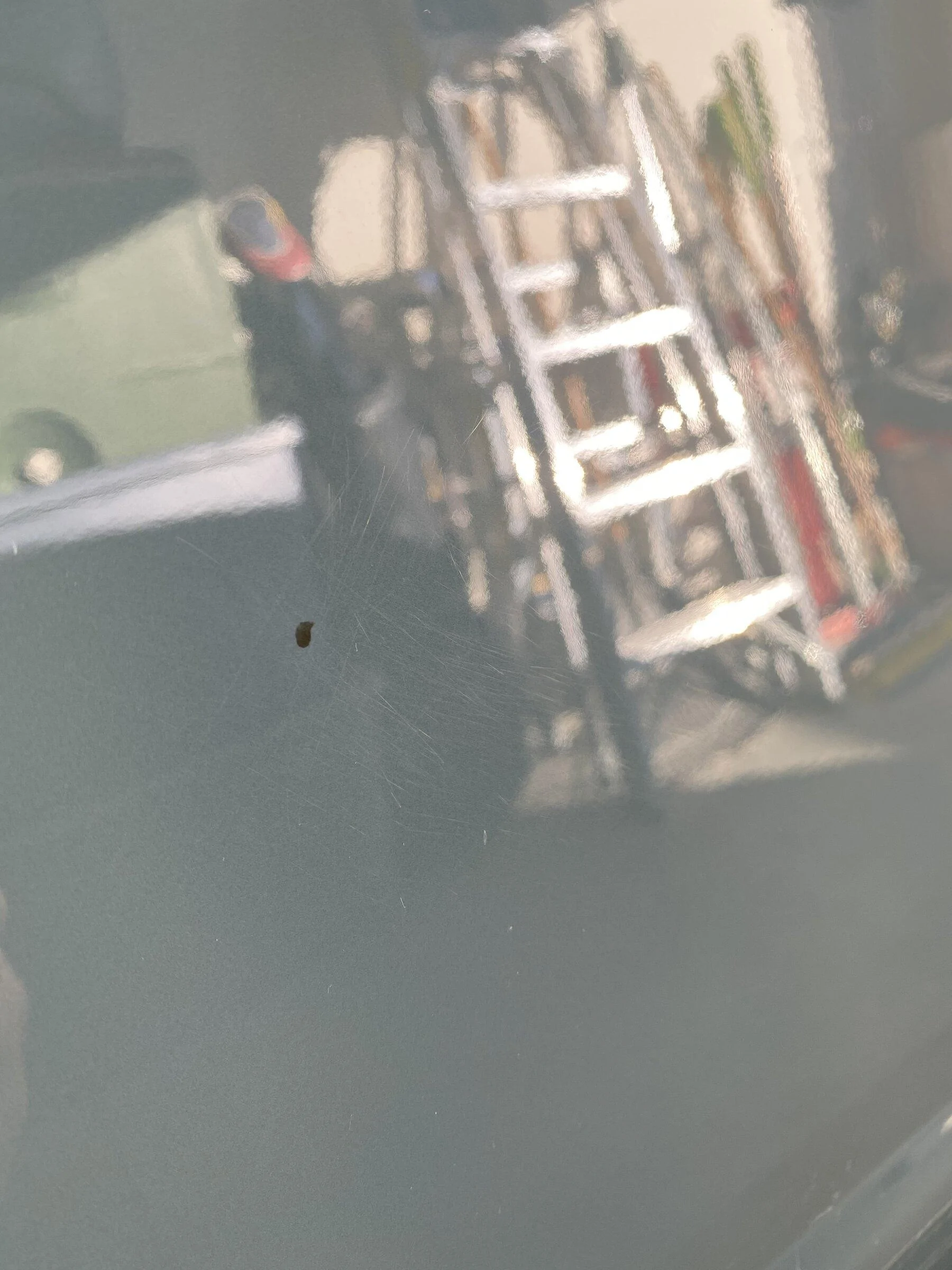 Ford Bronco Paint issue? 4EB83786-B646-403B-9BC9-A0B4BFDB9237