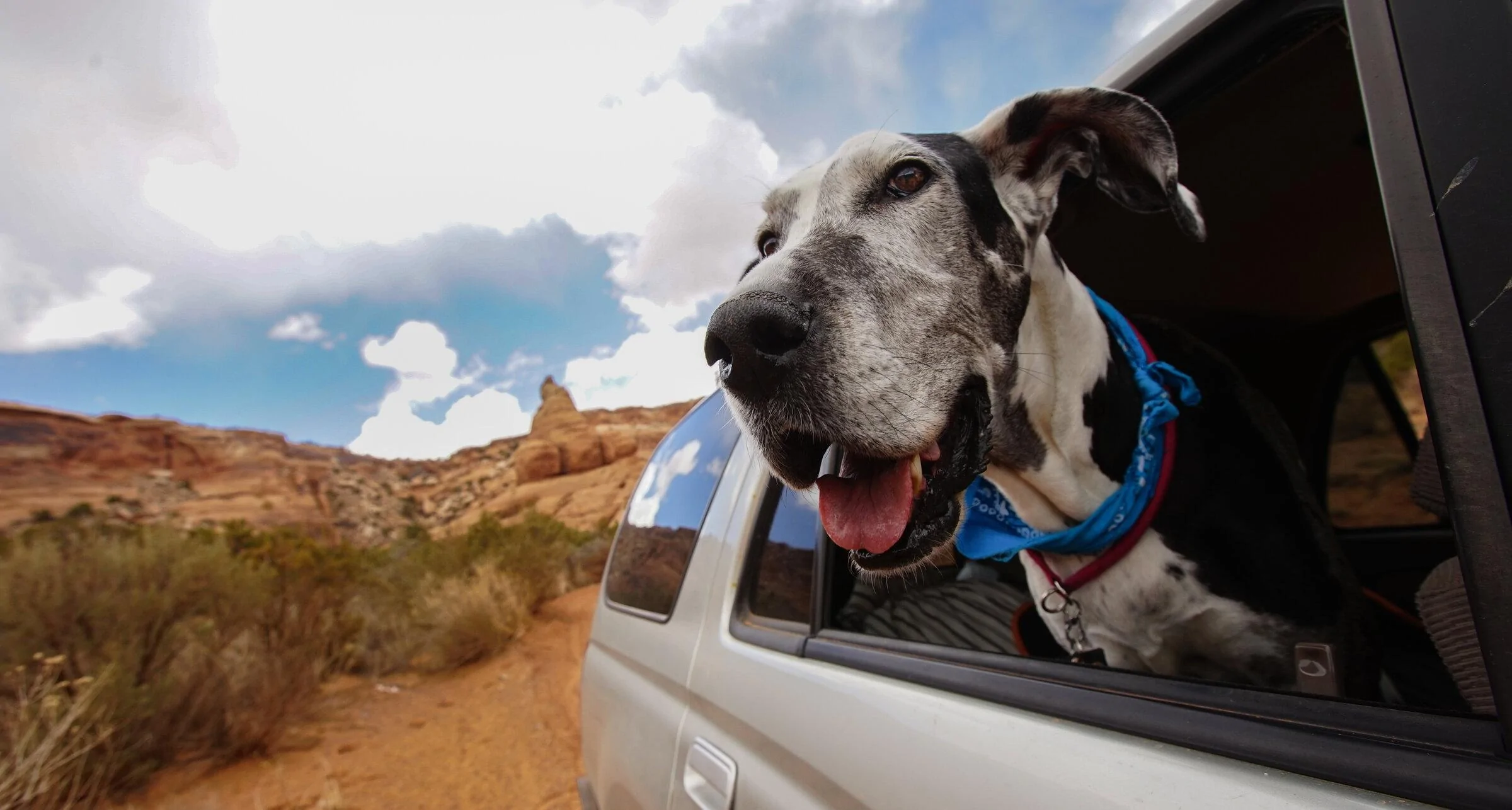 Ford Bronco Couple Canadians head to Moab for Off-Rodeo, end up staying for 24 days/5000 miles 41D22F00-C109-455F-BB55-2837D802CEFE