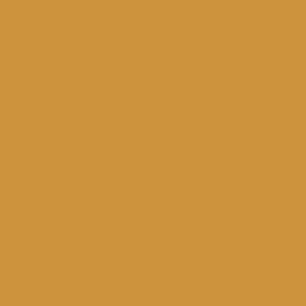 Ford Bronco Active Orange (aka Badlands Orange) Paint Source? cd933d