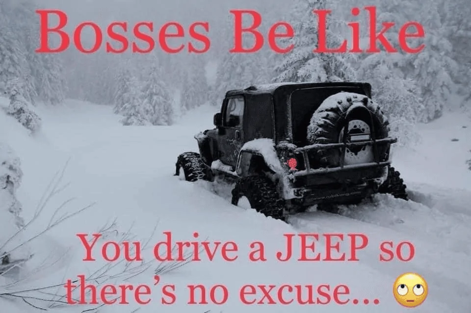 Ford Bronco Bronco likes the Snow!! 9547E7CC-5BCB-4FA3-A464-D87DE80CE5B5