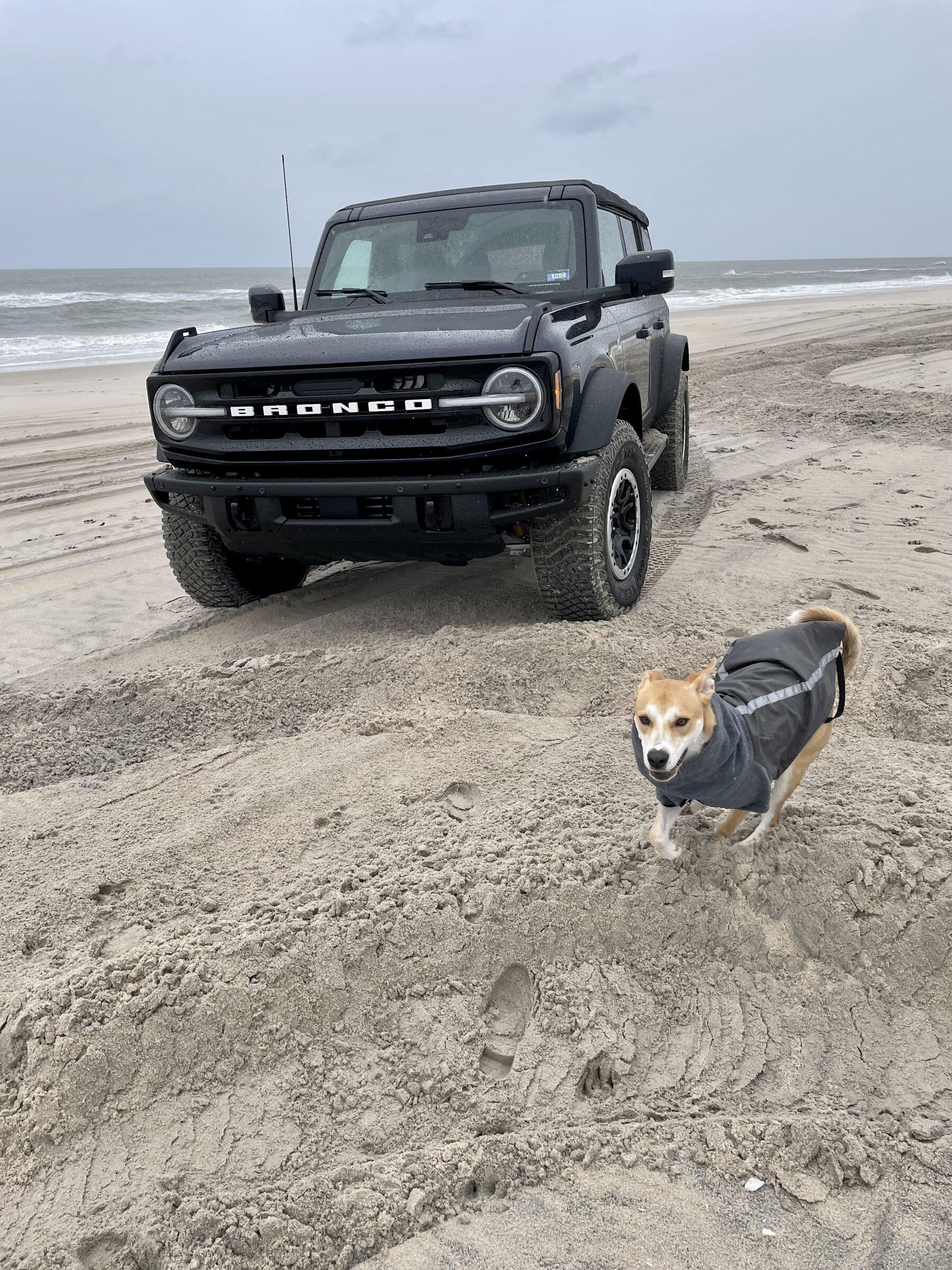 Ford Bronco First Beach tracks for the OBX ADF7689C-2618-4D6D-A97F-CB59A9981A4C
