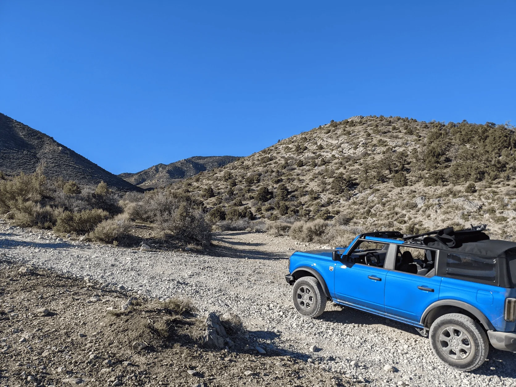 Ford Bronco VELOCITY BLUE Bronco Club 1640395322375