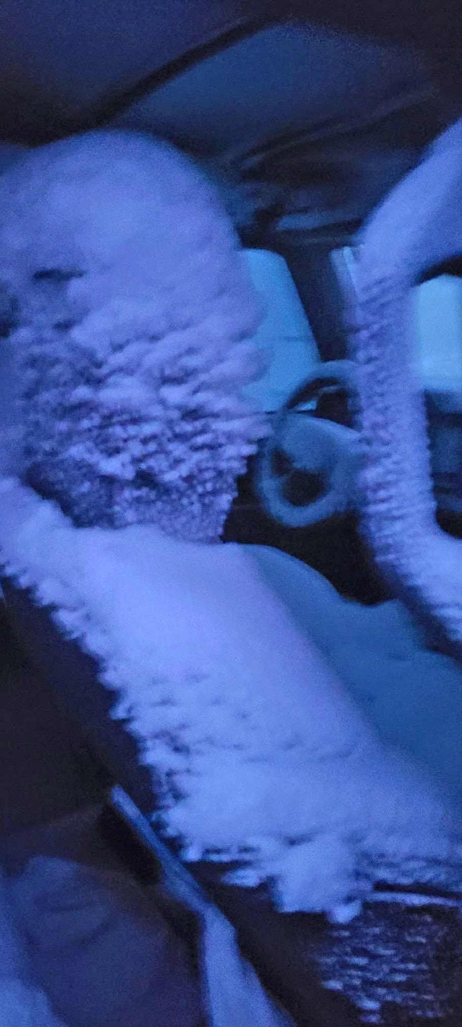 Ford Bronco Snow breaches inside of Bronco w/ soft top during blizzard claims owner 270187412_10209528713890555_2979829679391945259_n