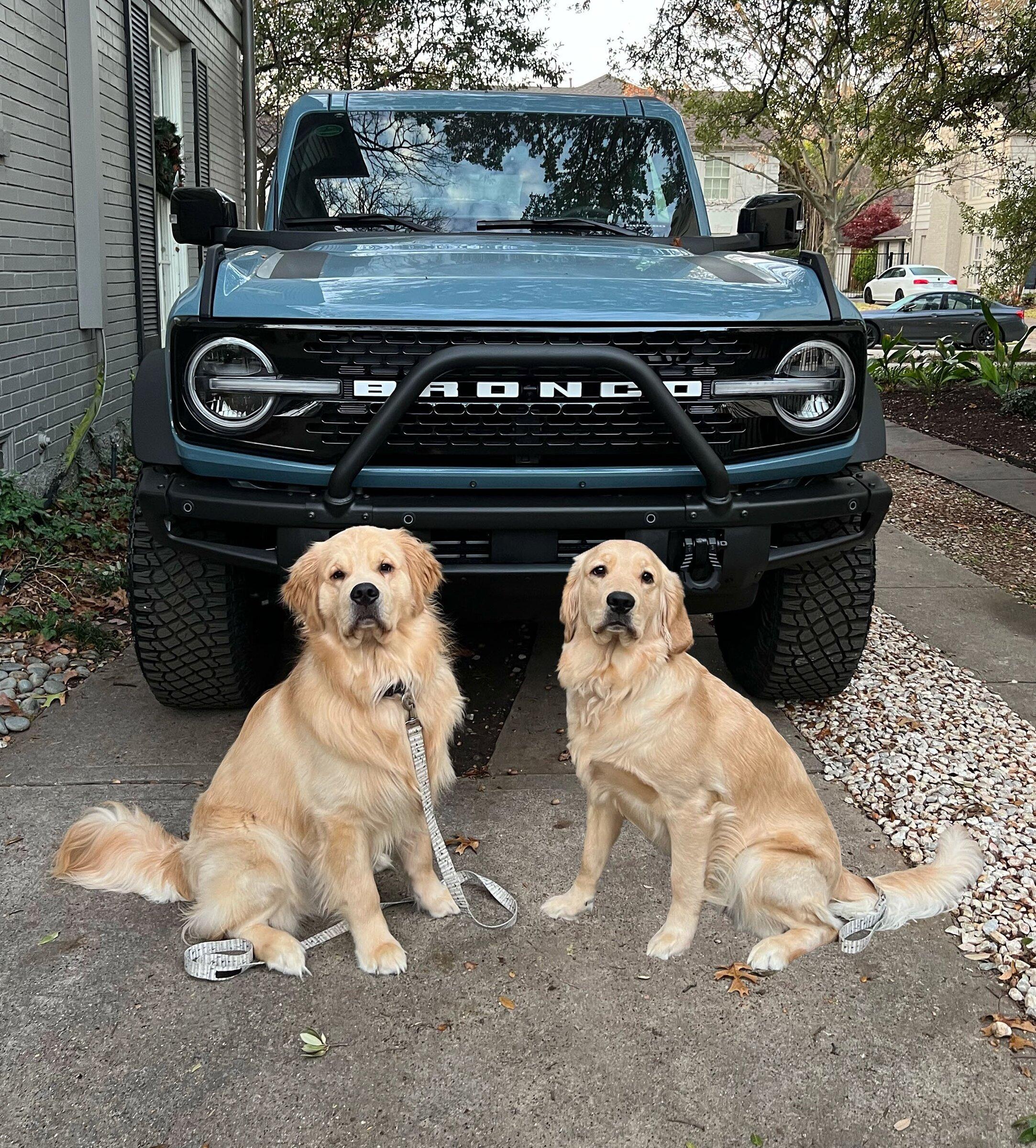 Ford Bronco First Edition Bronco Thread maya and murph