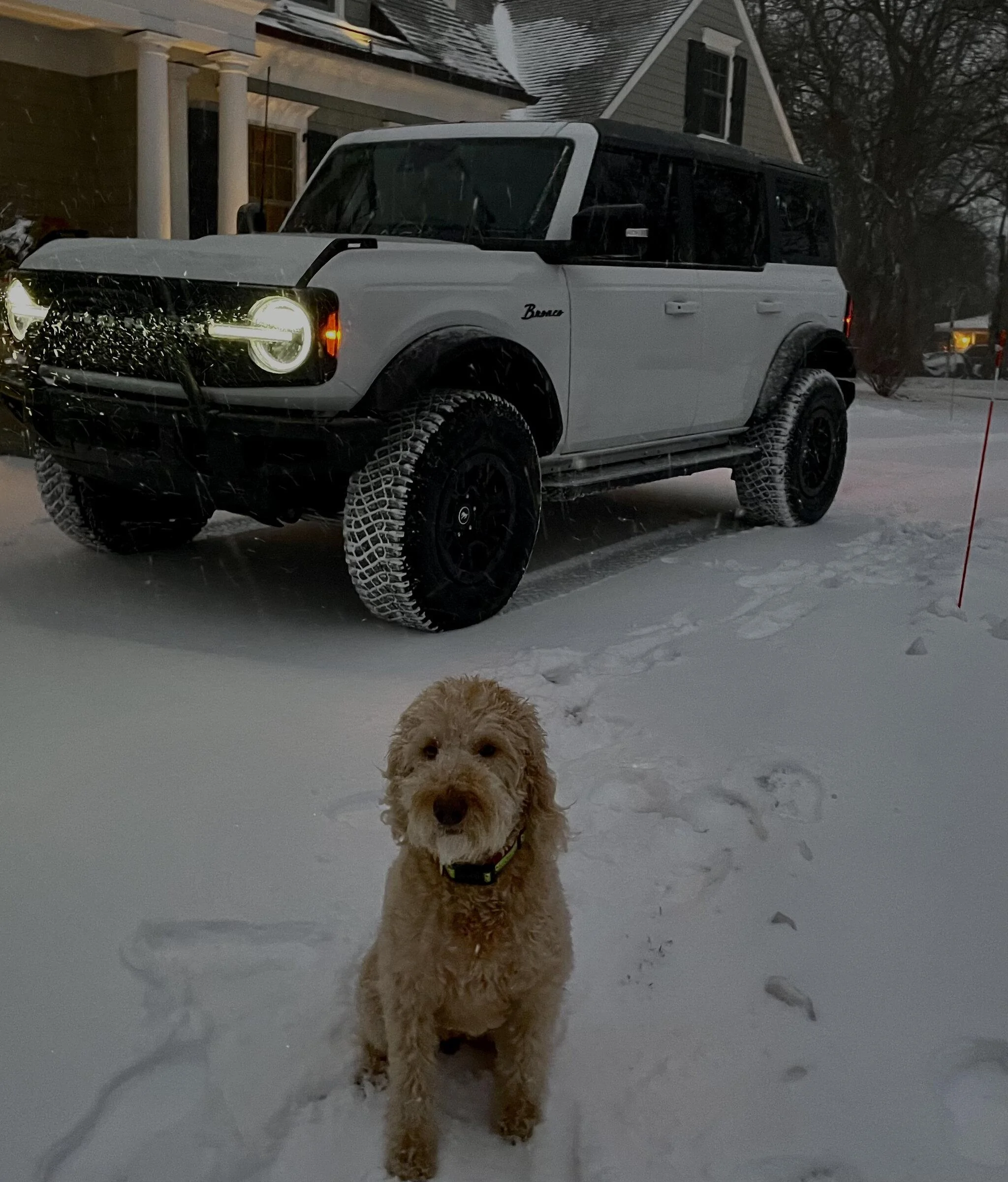 Ford Bronco Snow Pictures Please EC210106-B863-4E2A-B3A7-8DEEEE435130
