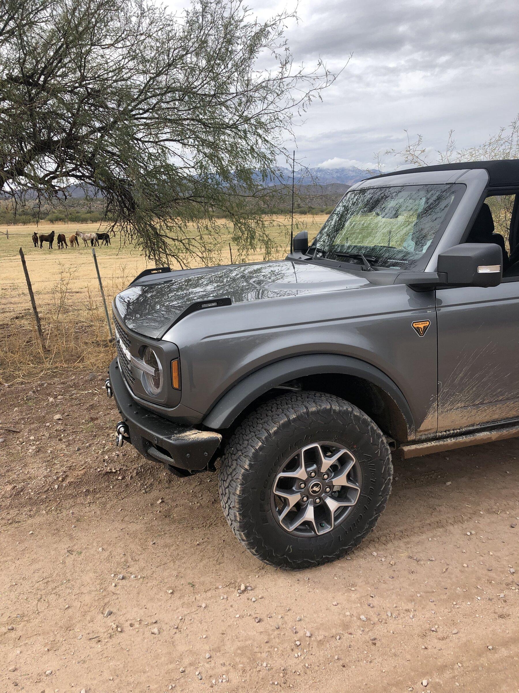 Ford Bronco Ultimate Badlands Non-Sasquatch pics thread 2B3B9D12-4A44-4268-BE49-1364099E37F1
