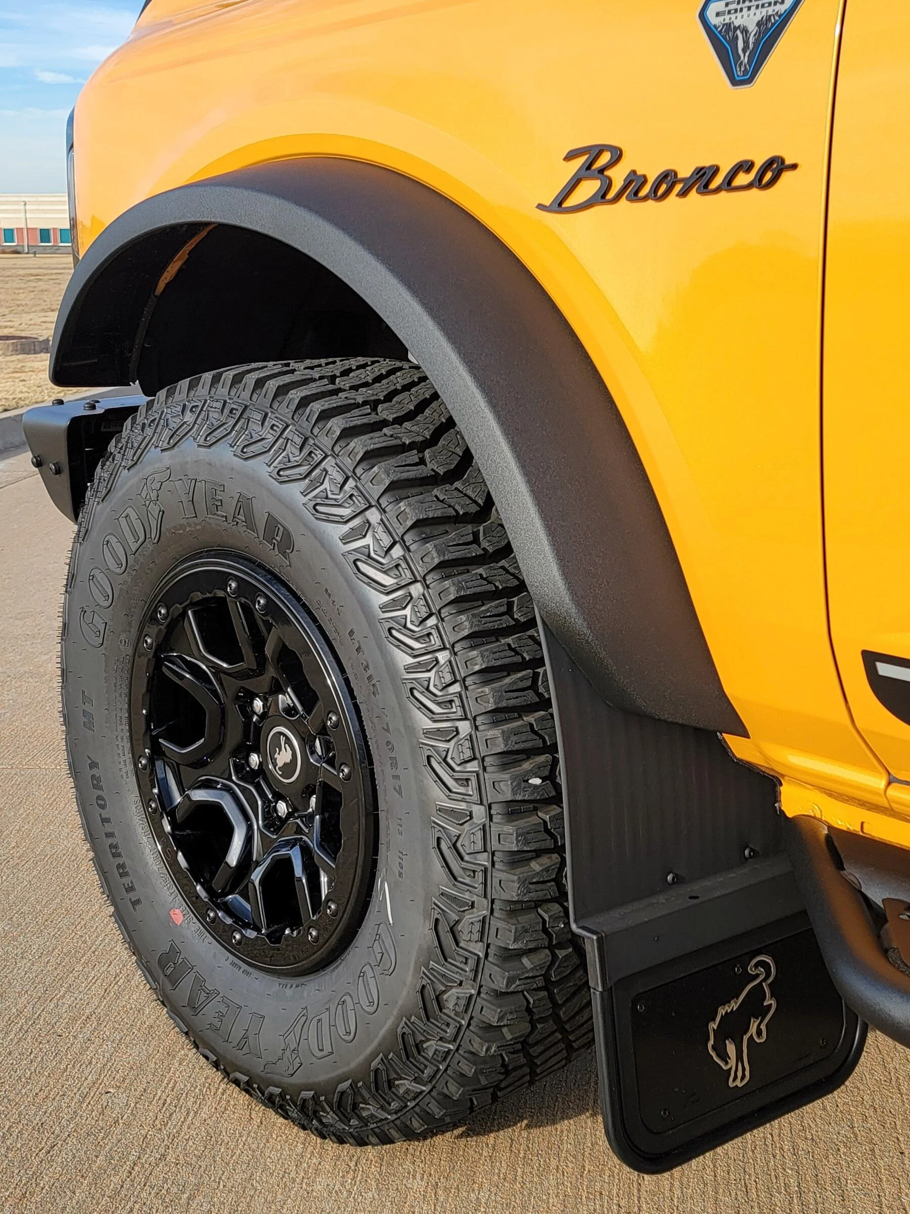 Ford Bronco GoRhino D6 Steps and Mudflaps, Anyone done it? 20211230_151537
