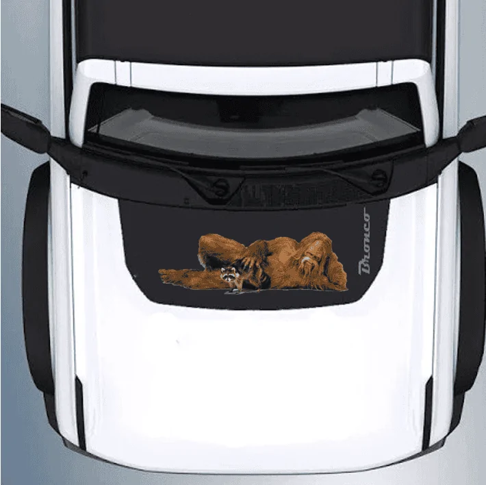 Ford Bronco Vinyl Hood Graphics - DESPERATELY SEARCHING hood