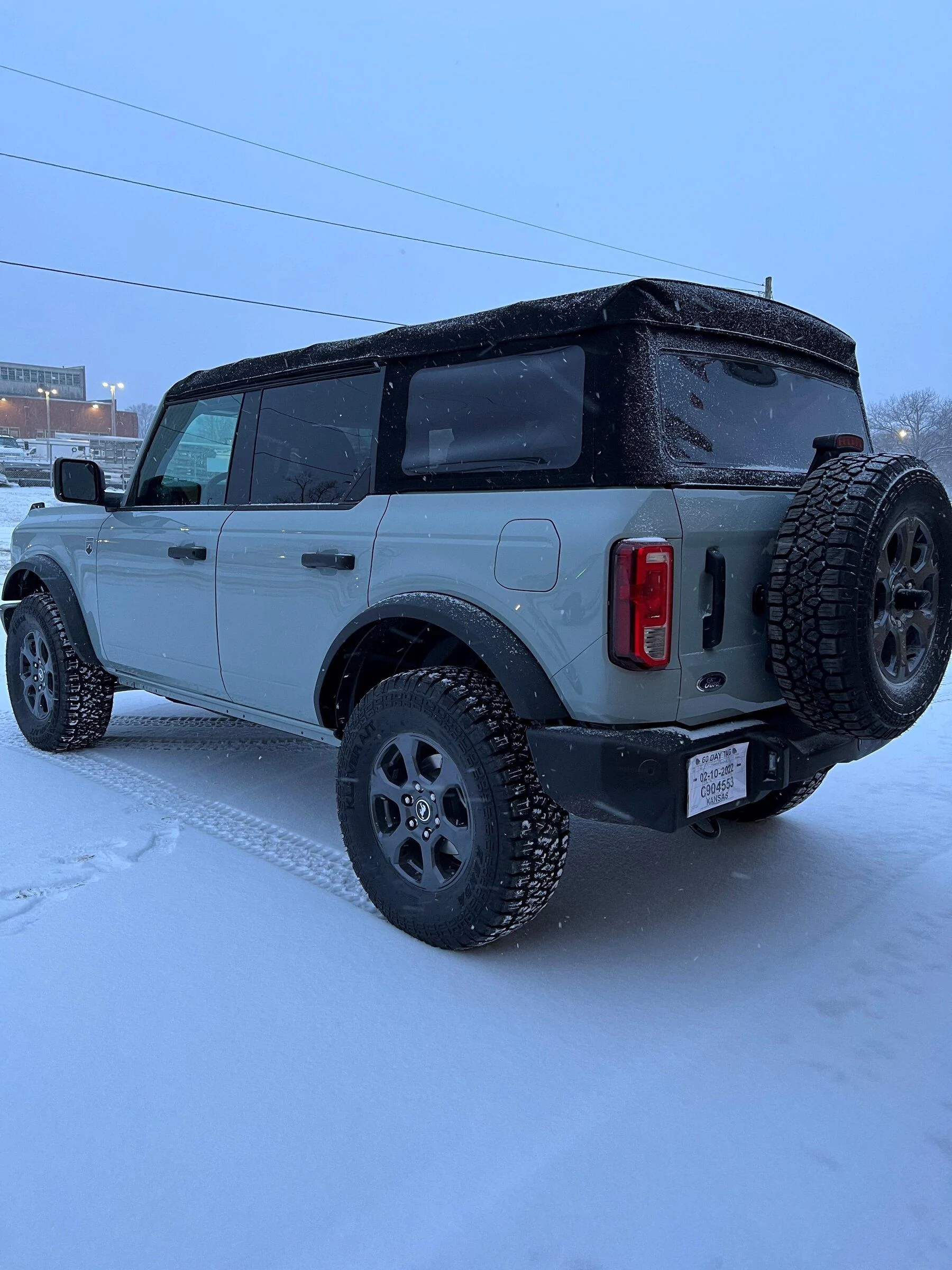 Snowy_Bronco.webp