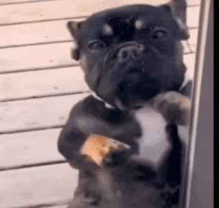 SmartSelect_20200506-130906_Gallery.gif