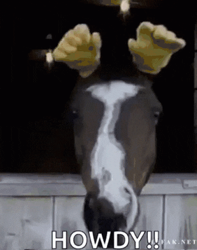 1641662896558.gif