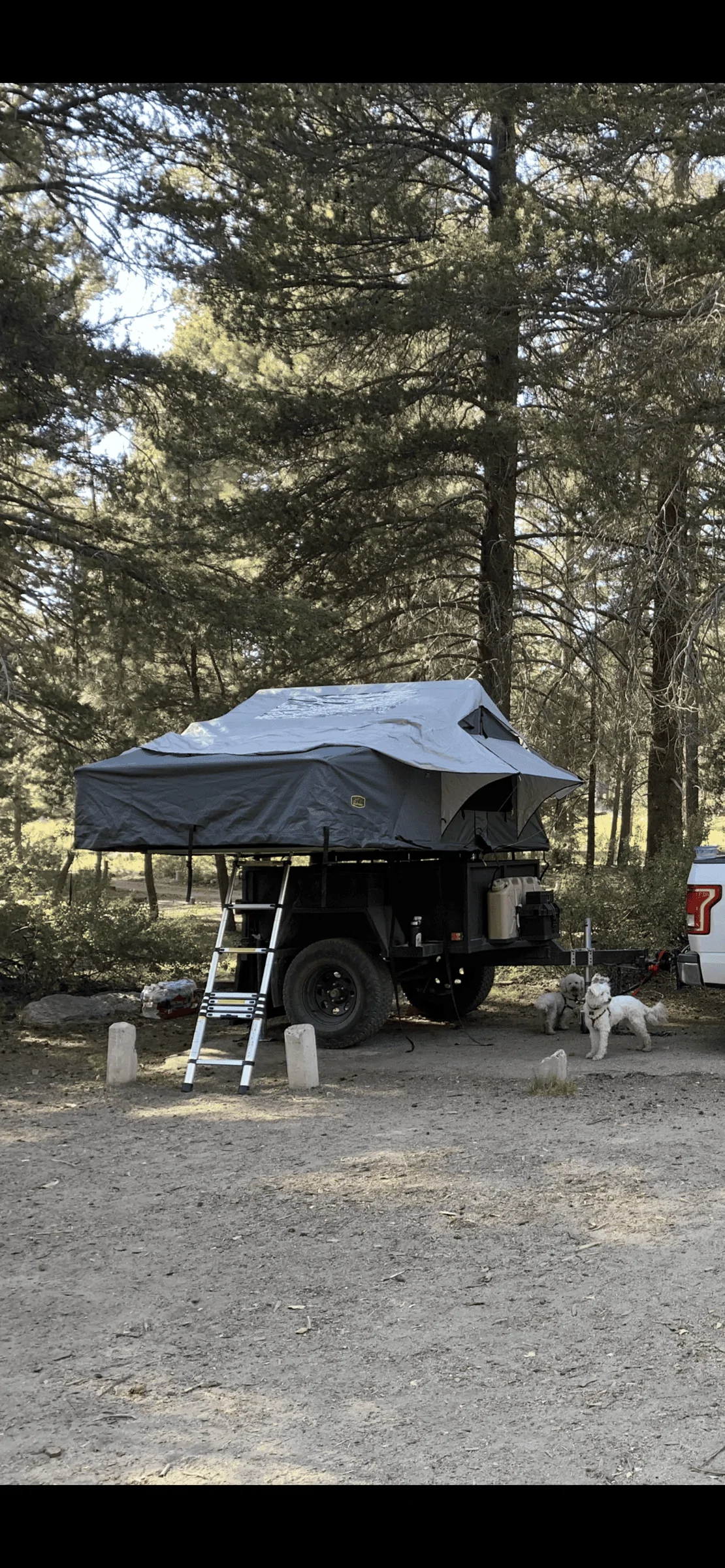 Ford Bronco Custom Overland Trailer EF2D1410-9789-41B7-9688-0998CE653D21