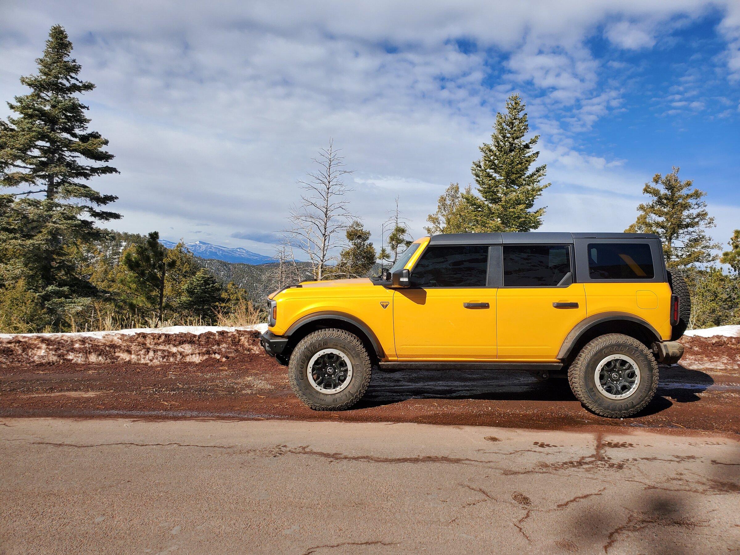 Ford Bronco Post your front side window tints 20220108_120611