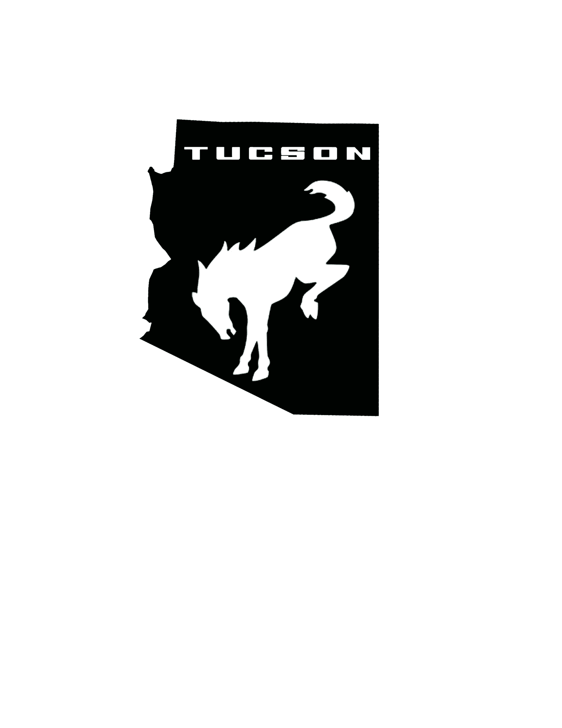 Ford Bronco Tucson Thread Logo