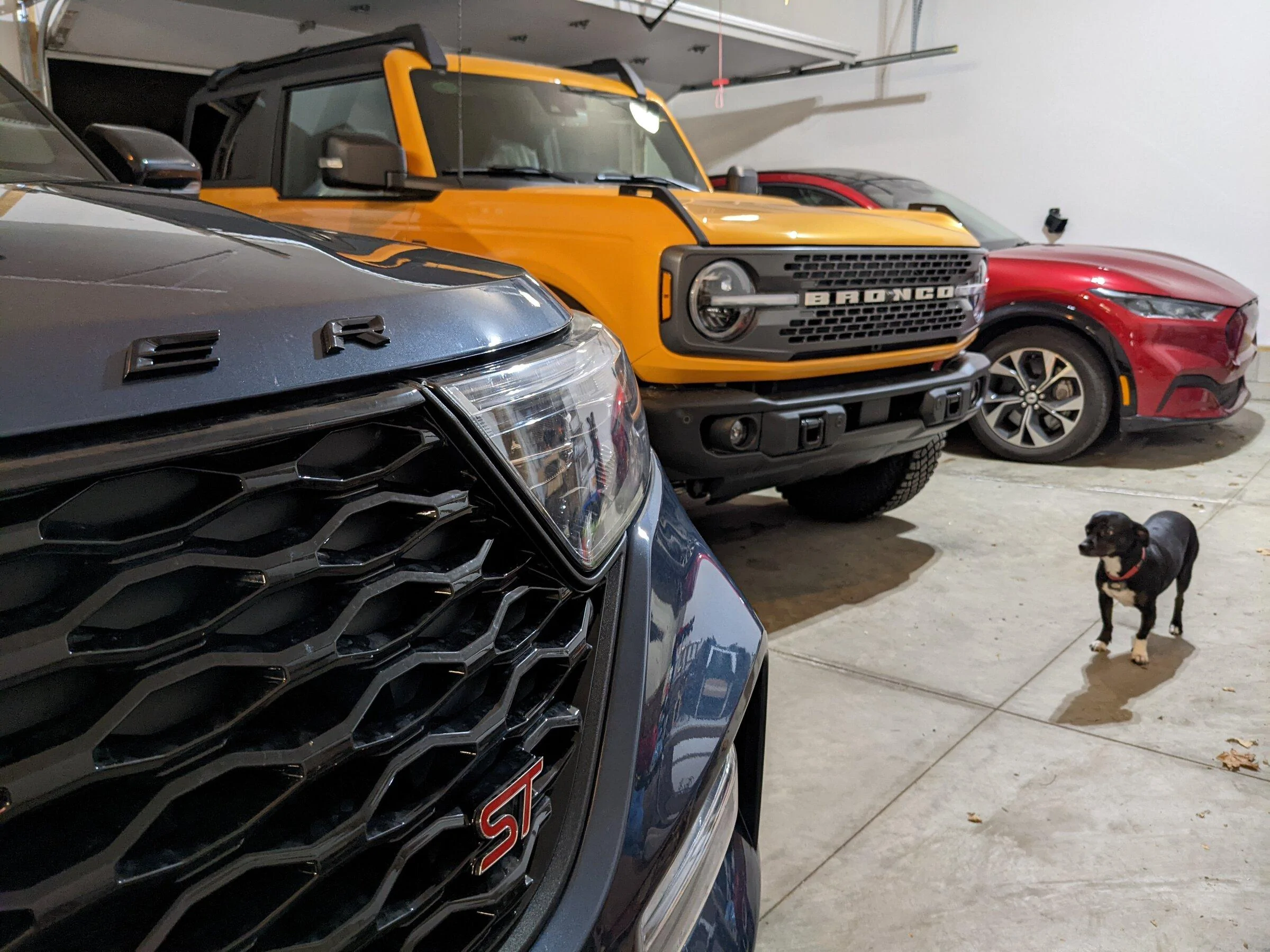 Ford Bronco ManSquatch arrived! PXL_20220112_235627629