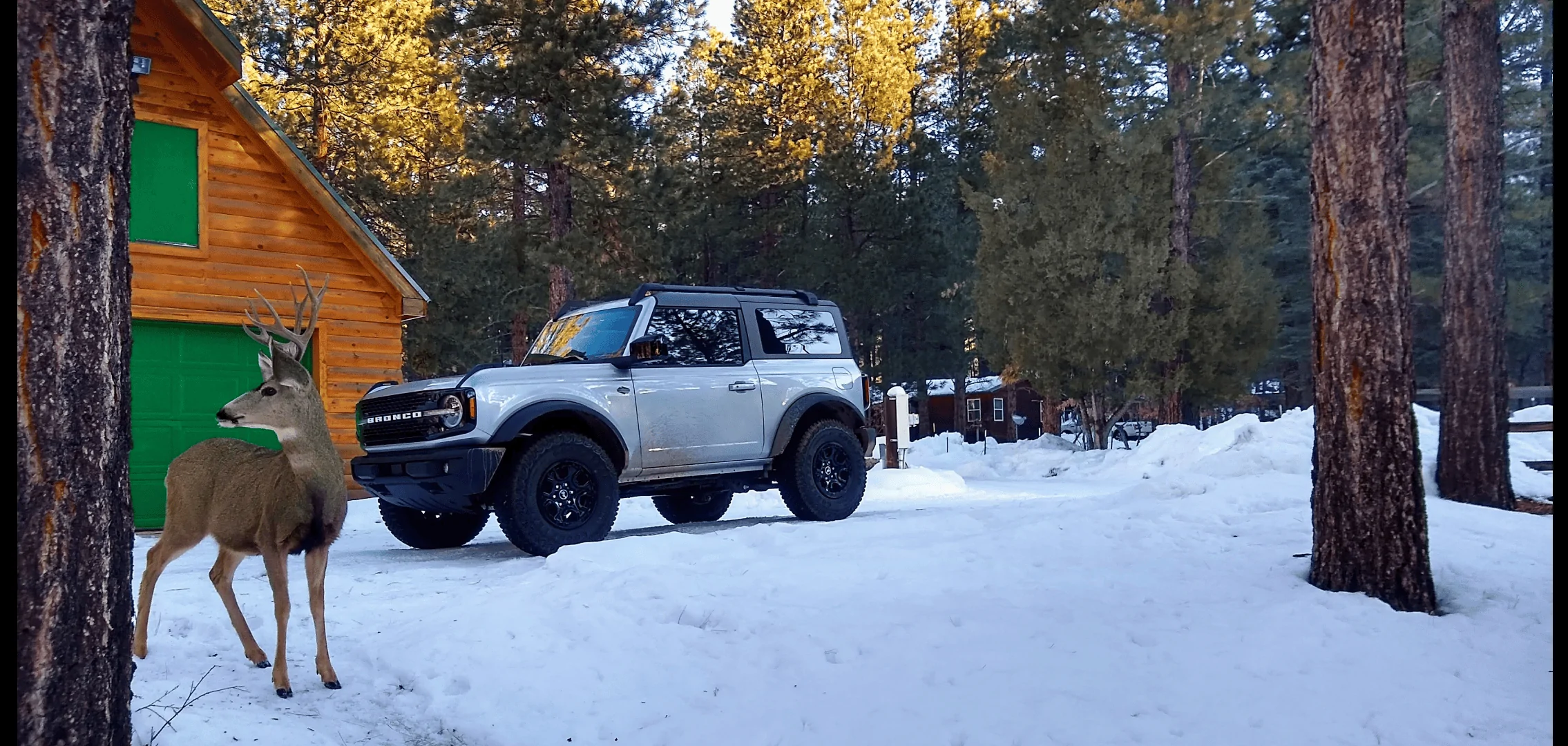 Ford Bronco Share your snowy Bronco pics! Screenshot_20220116-085956