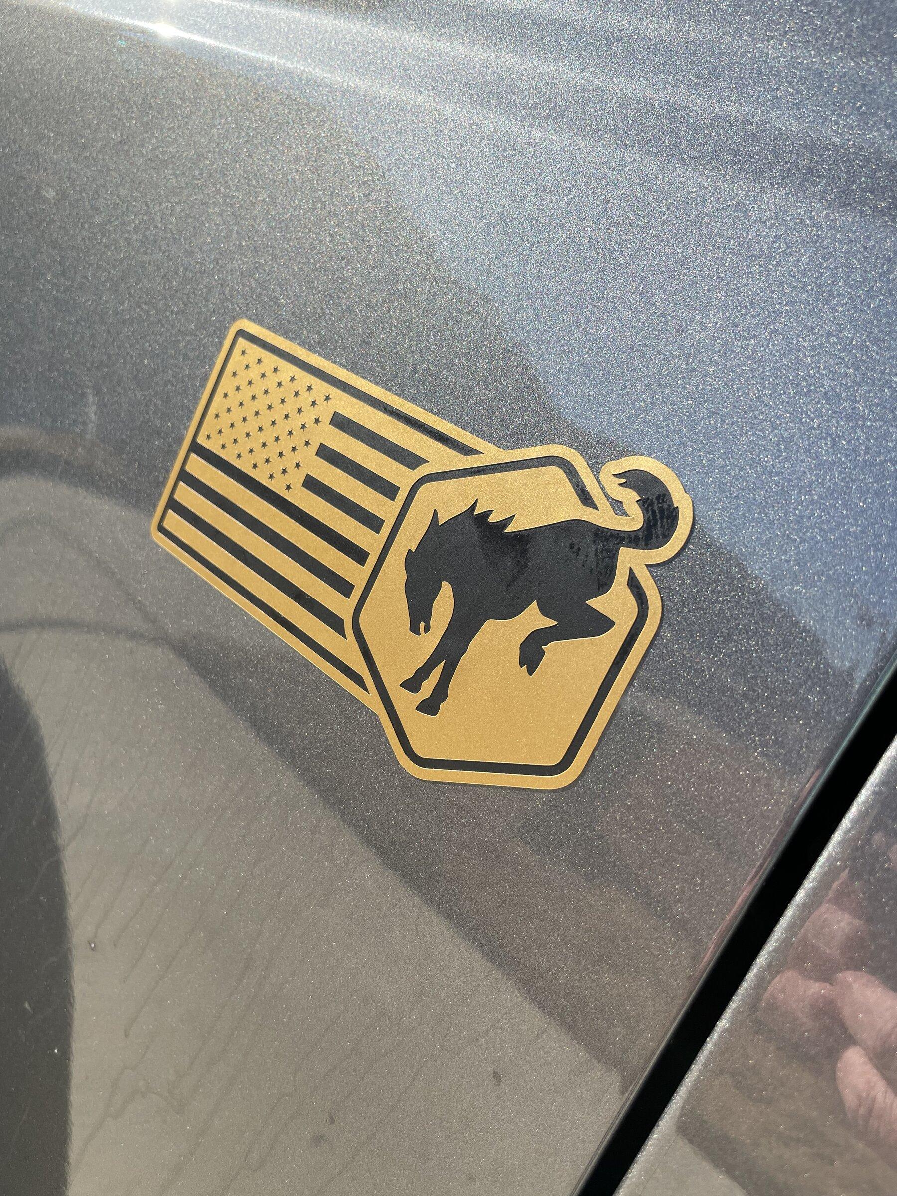 Ford Bronco Custom Bronco overlay decals installed. 00B211D6-2B28-4D29-B78E-FE8B4AAD5C39