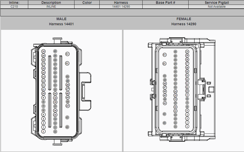 Ford Bronco Wild Bronco Morning (multiple issues) (resolved) 1642438792325