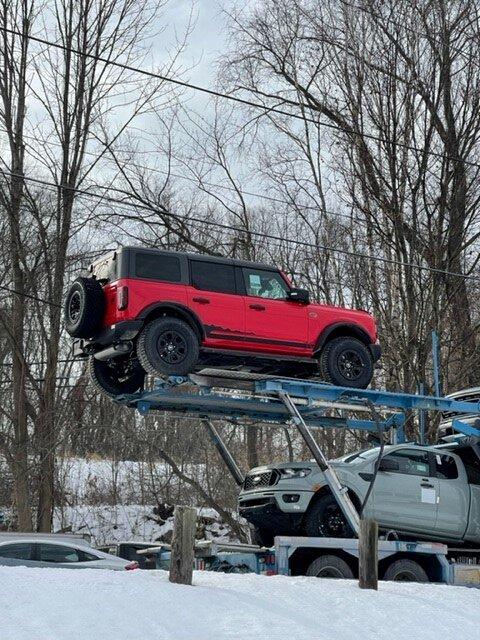 Bronco pis.jpg