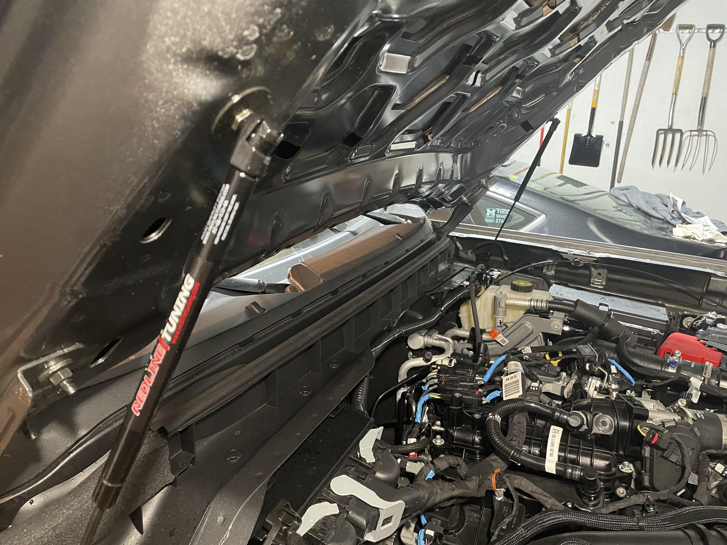 Ford Bronco Are you getting hood struts? Which ones? 3F849803-F940-4764-8619-B22017777F60