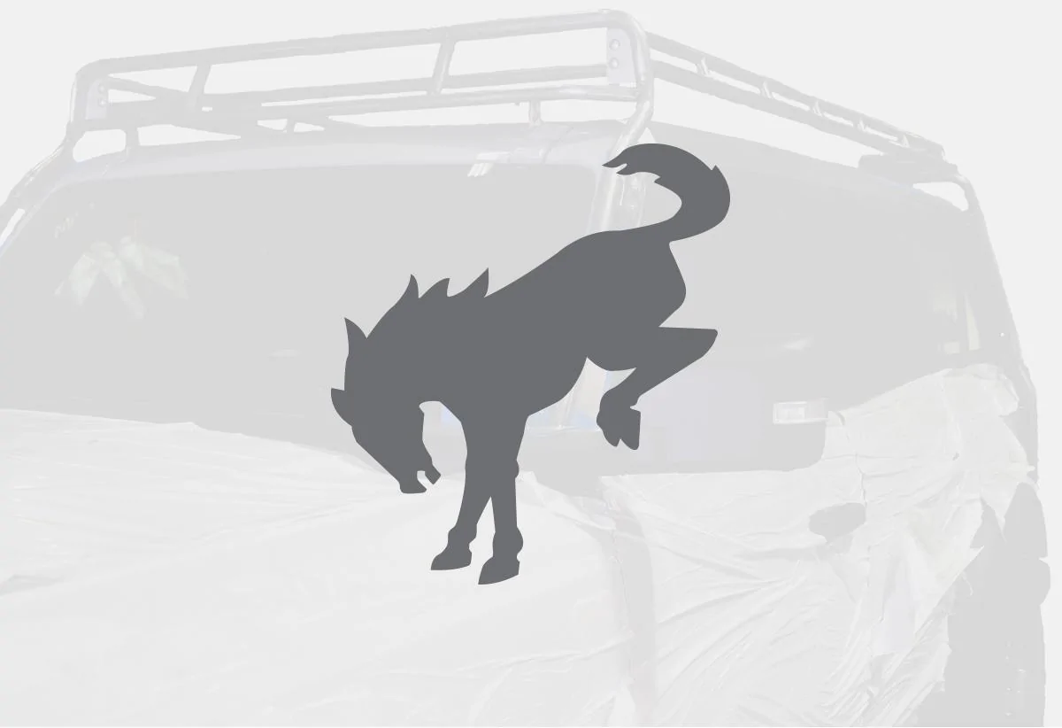 Ford Bronco GOBI Bronco Rack Released [Official Specs & Photos] Bronco_rawSteelRack-1@2x