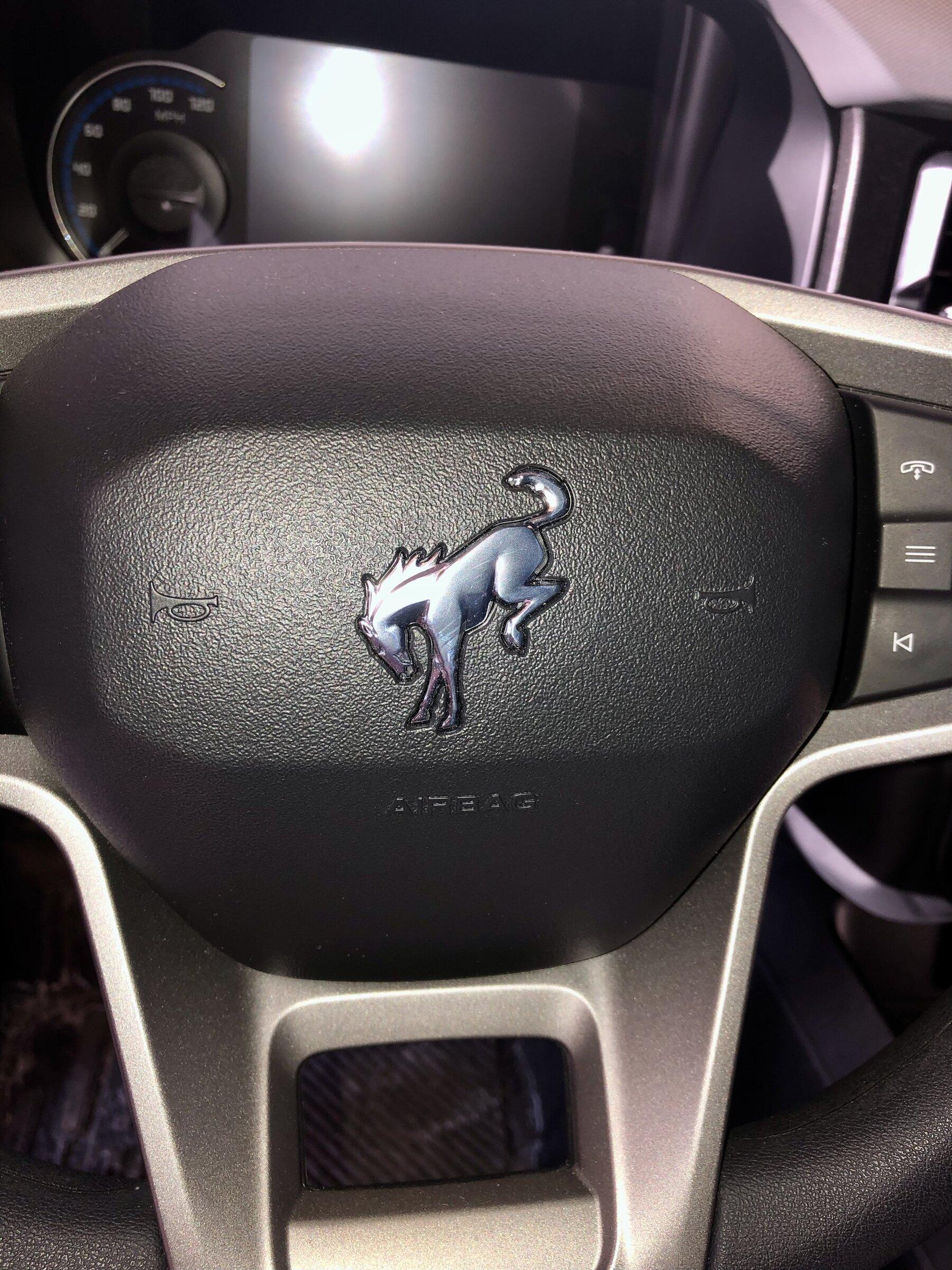 Ford Bronco Driver side mirror cracked no contact. AB9E42CD-1DDE-45E0-B21E-7B6C3C127C5C