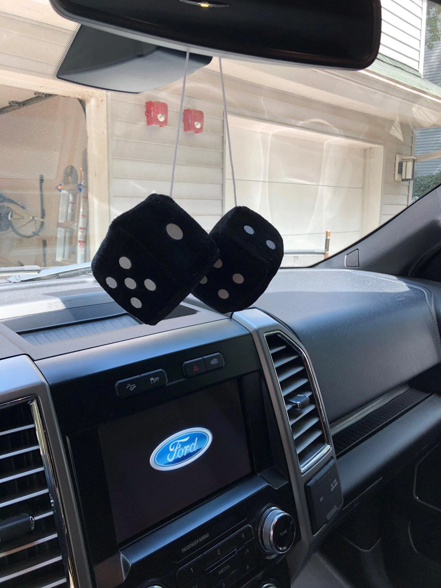 Ford Bronco "Hanging Slices" Fuzzy Dic